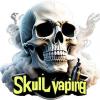 Profile picture for user skulvaping